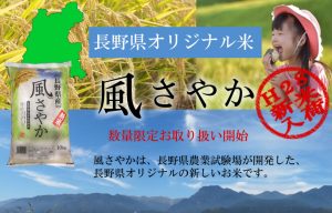 長野県オリジナル米「風さやか」